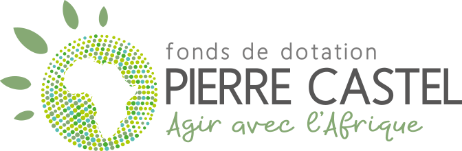 Fonds Pierre Castel