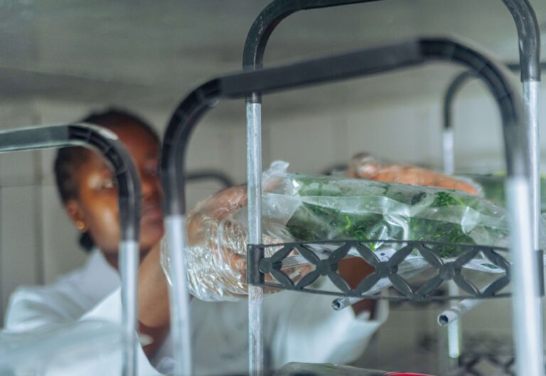 Bags of fresh green leaves on a cold-room rack, a Mumita staff member behind