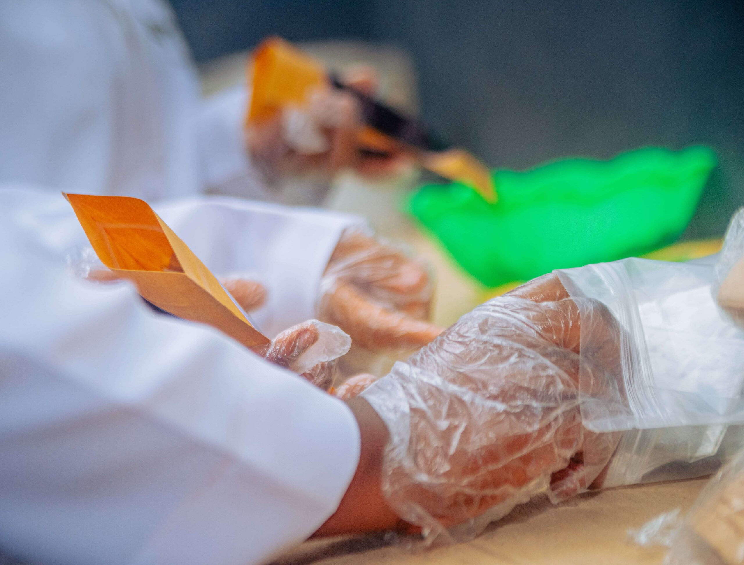 Gloved hands fill a kraft pouch at the packing bench