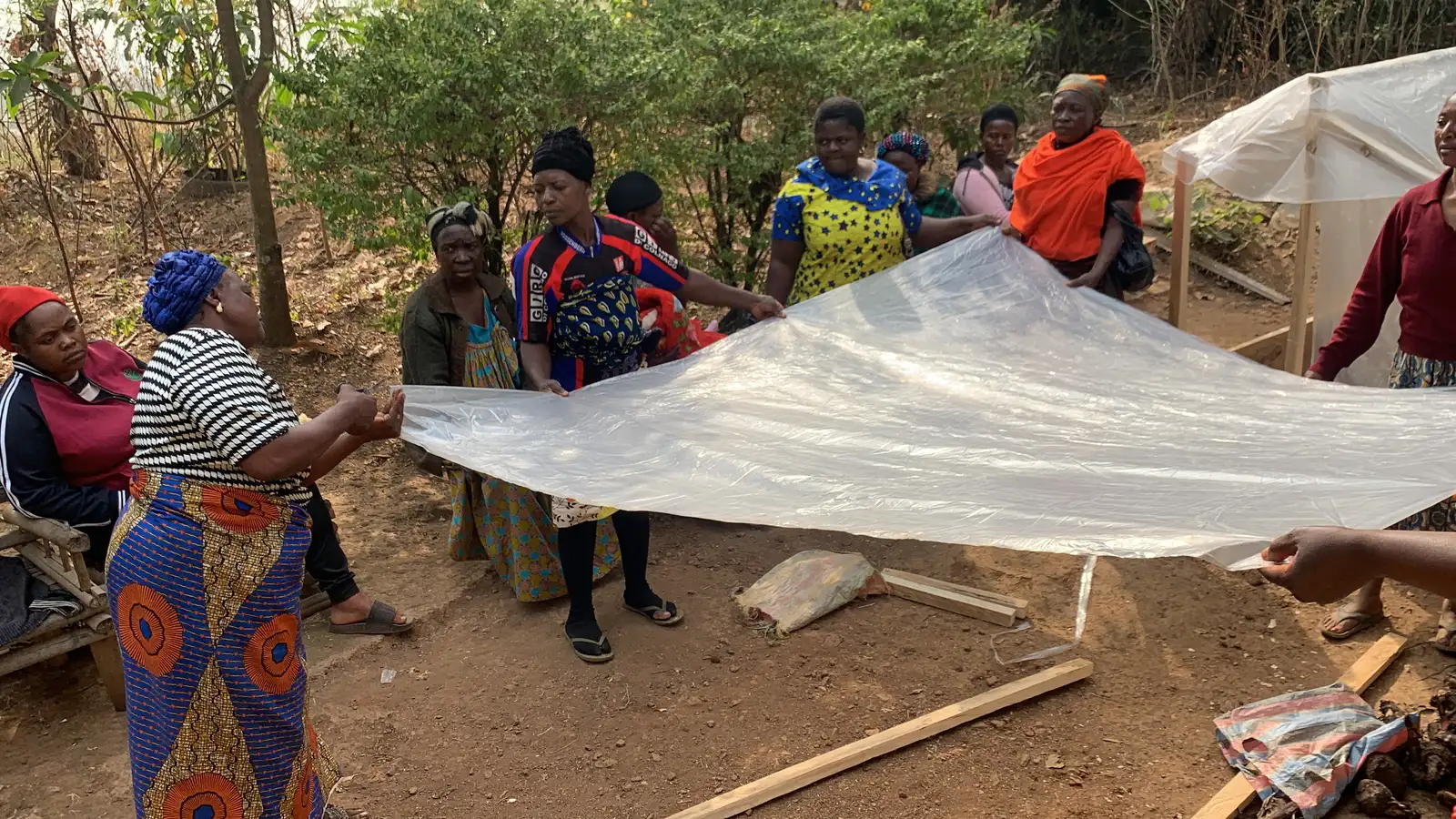 A group of women unroll a clear plastic sheet at an outdoor greenhouse-building session