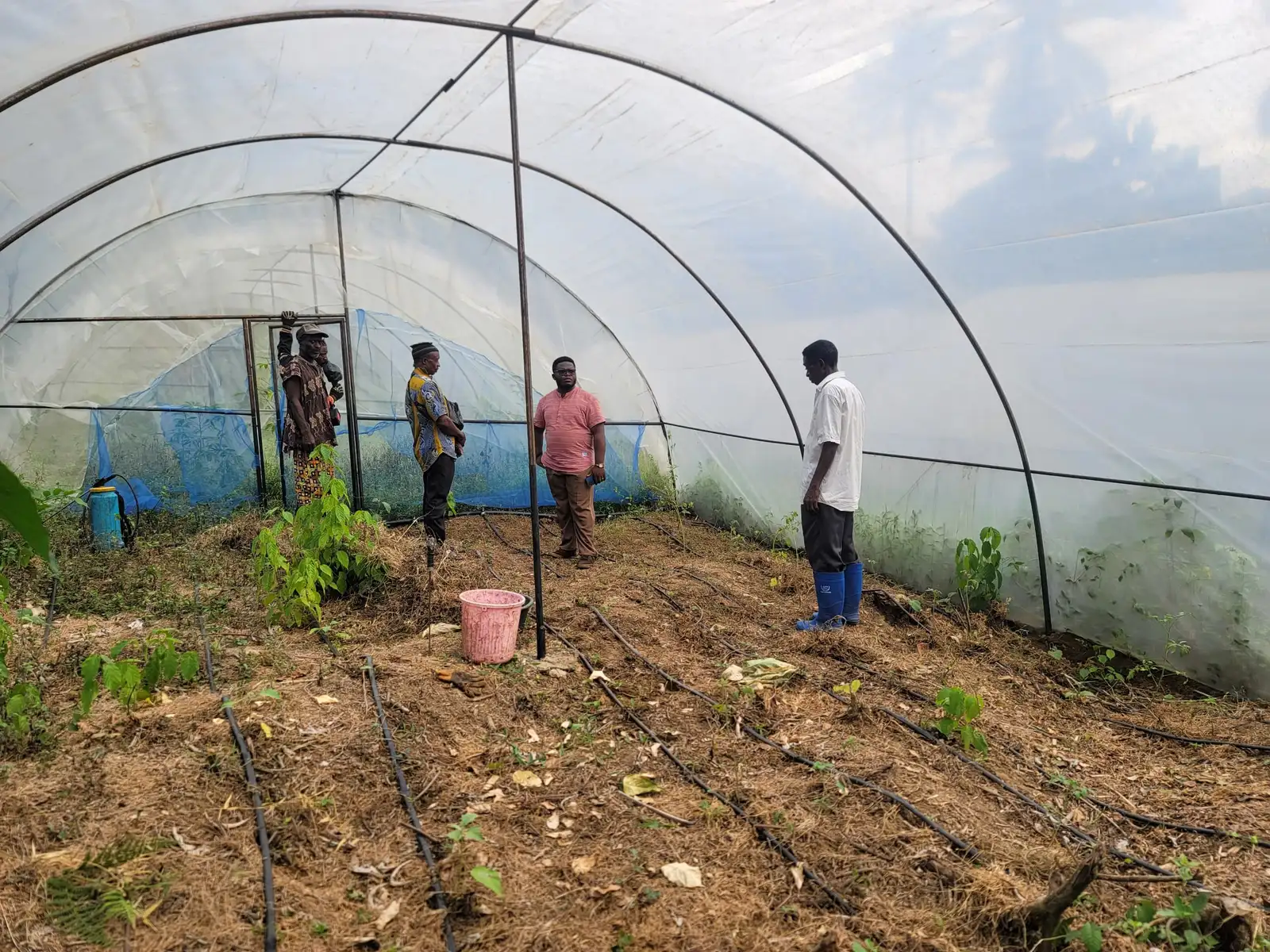 People walk between drip-watered raised beds inside a greenhouse
