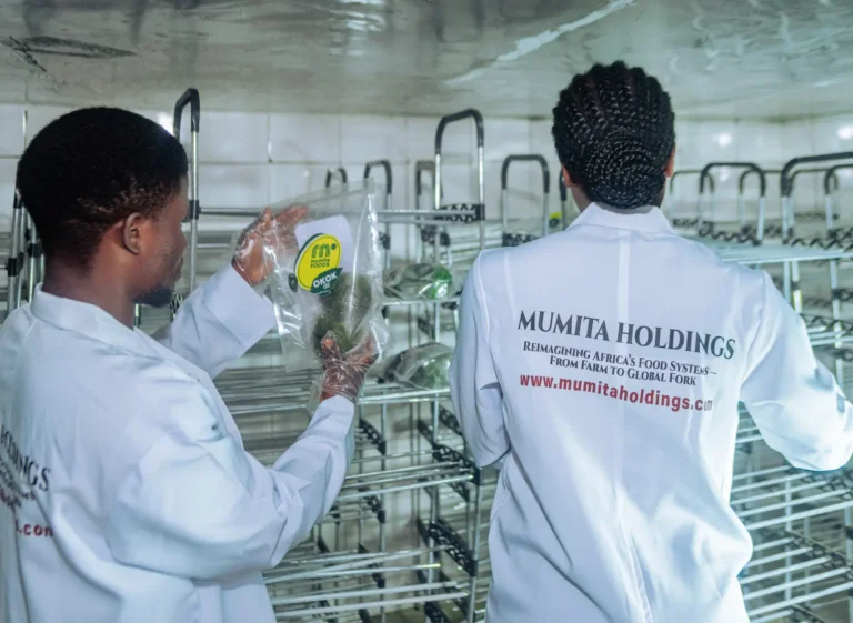 A Mumita staff member and a colleague hold a Mumita Foods Okok and Eru pack by the drying racks