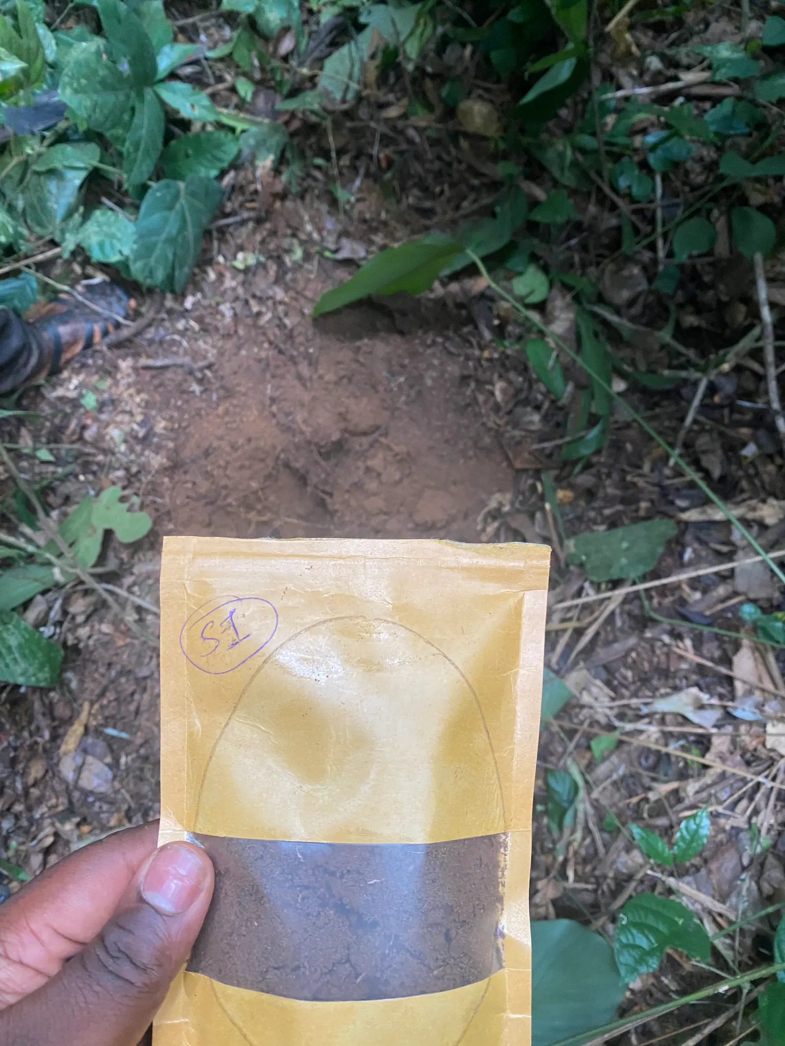 A hand holds a paper soil-sample bag above a field