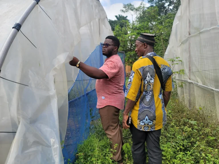 Two consultants inspect the cover and insect netting of a greenhouse