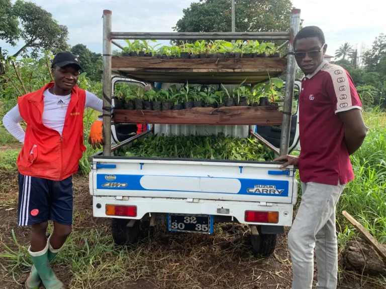 Two workers beside a pickup loaded with seedlings