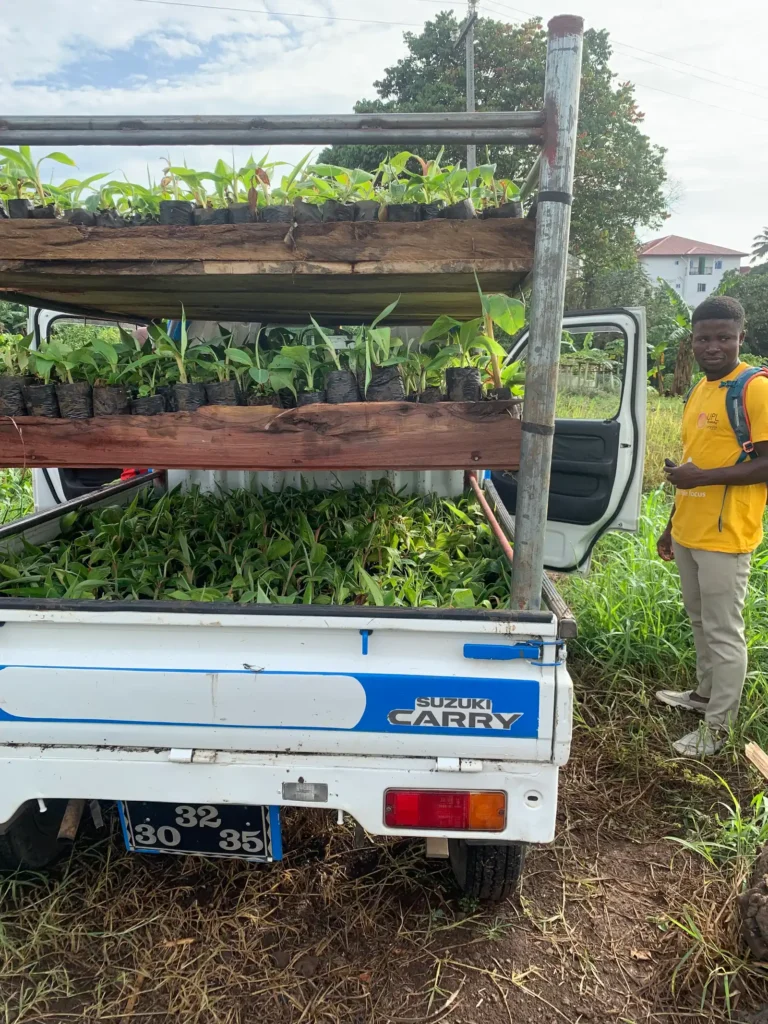 A pickup loaded with racks of seedlings for delivery