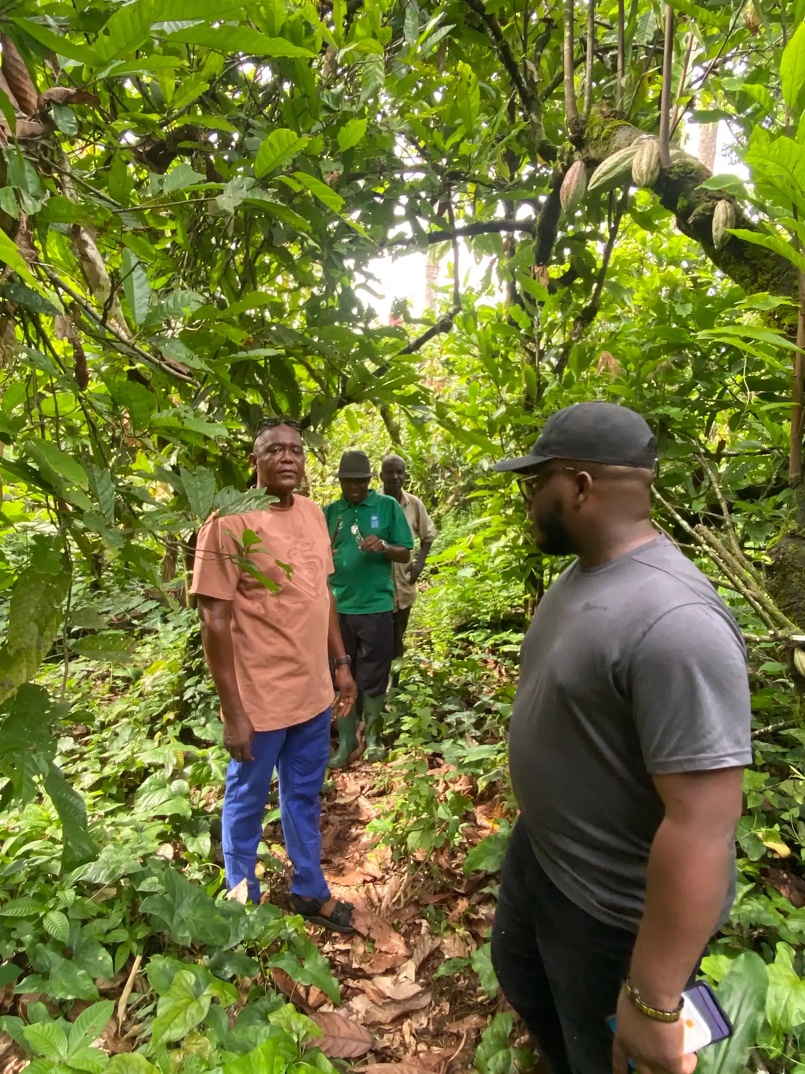 A consultant talks with a farmer in a forest plot