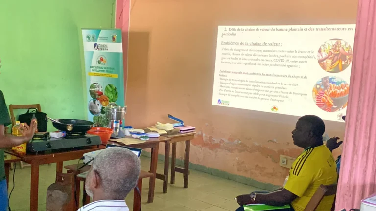 Participants watch a slide on the plantain value chain