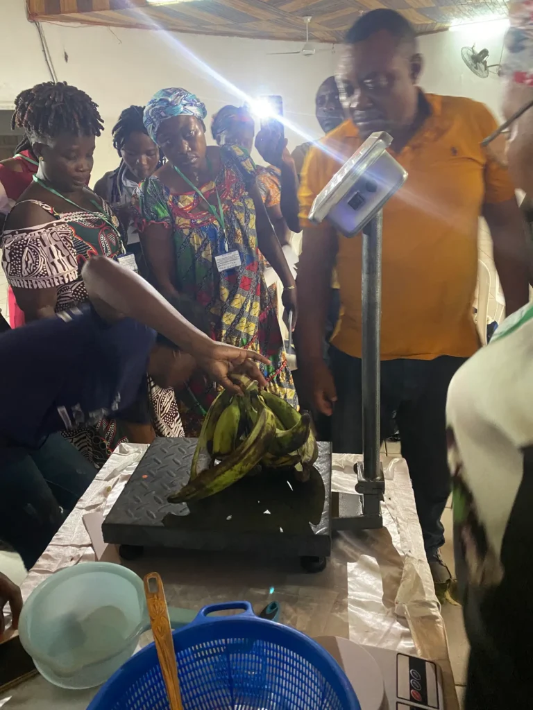 Trainees weigh plantain bunches on a platform scale