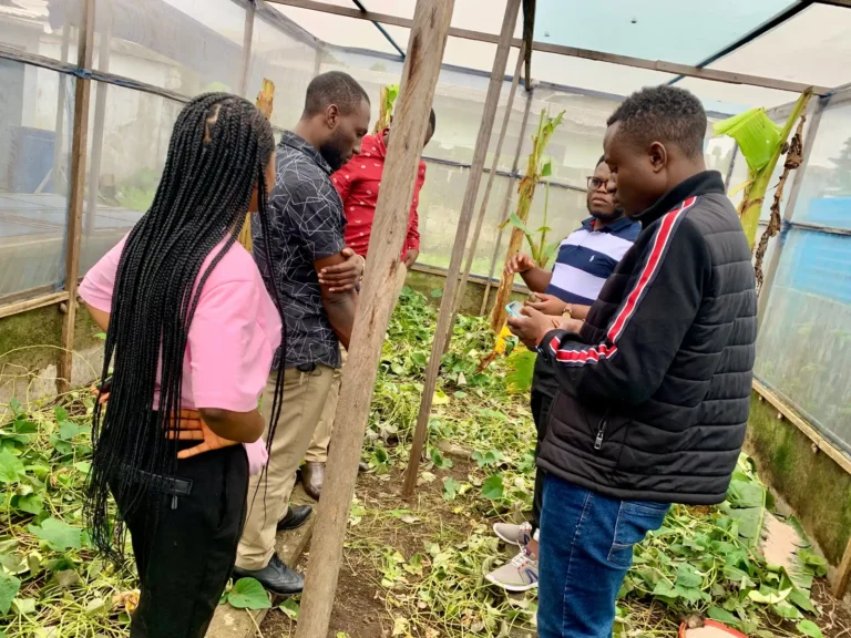 Trainees inspect a netted snail pen
